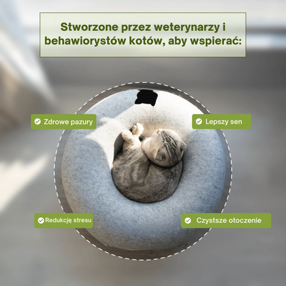 KociaPrzygoda™️ Tajemnicza Nora