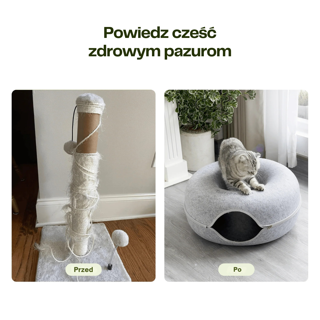 KociaPrzygoda™️ Tajemnicza Nora